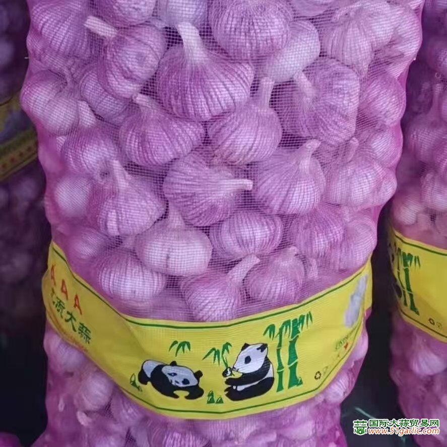 QQ圖片20250425151756